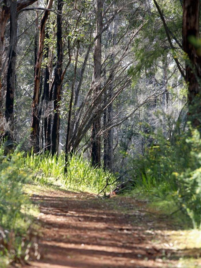 Heritage Trail Lodge Margaret River Bagian luar foto
